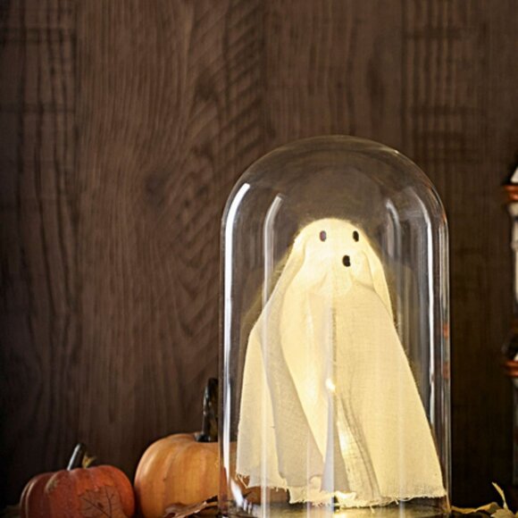 Lit Ghost Cloche Pottery Barn - Picture 1 of 5
